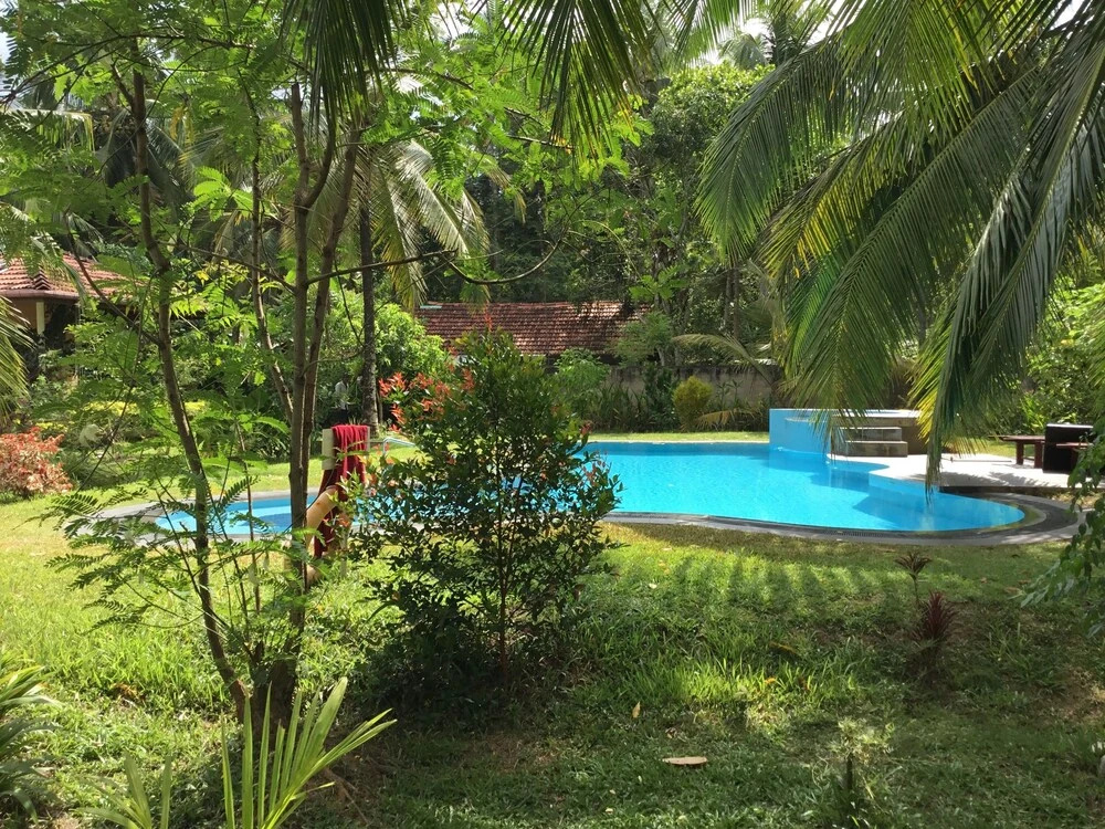 King Coconut Lodge