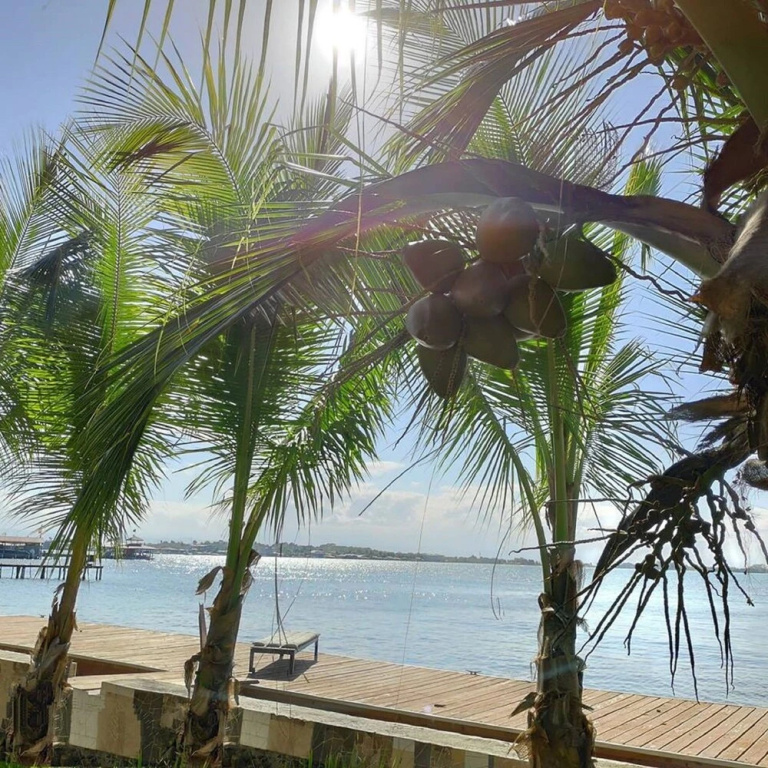 TropicalArts Resort&Studios