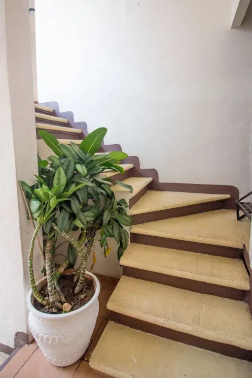 Forrest Hotel Huatulco	