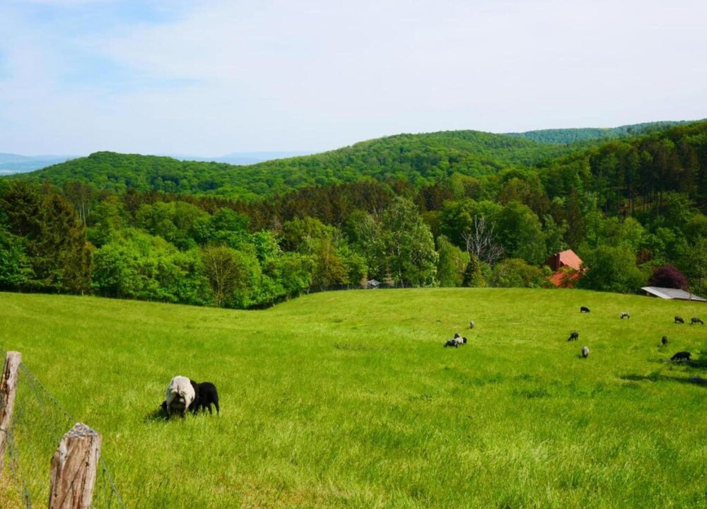 Weser Uplands Retreat