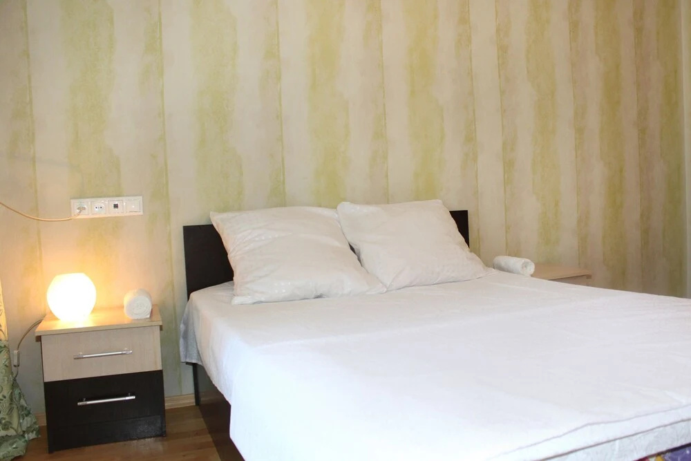 Sacvoyage Apartment on Sovetskaya,12