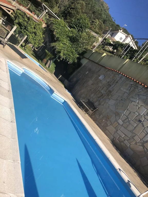 Verde Pinho