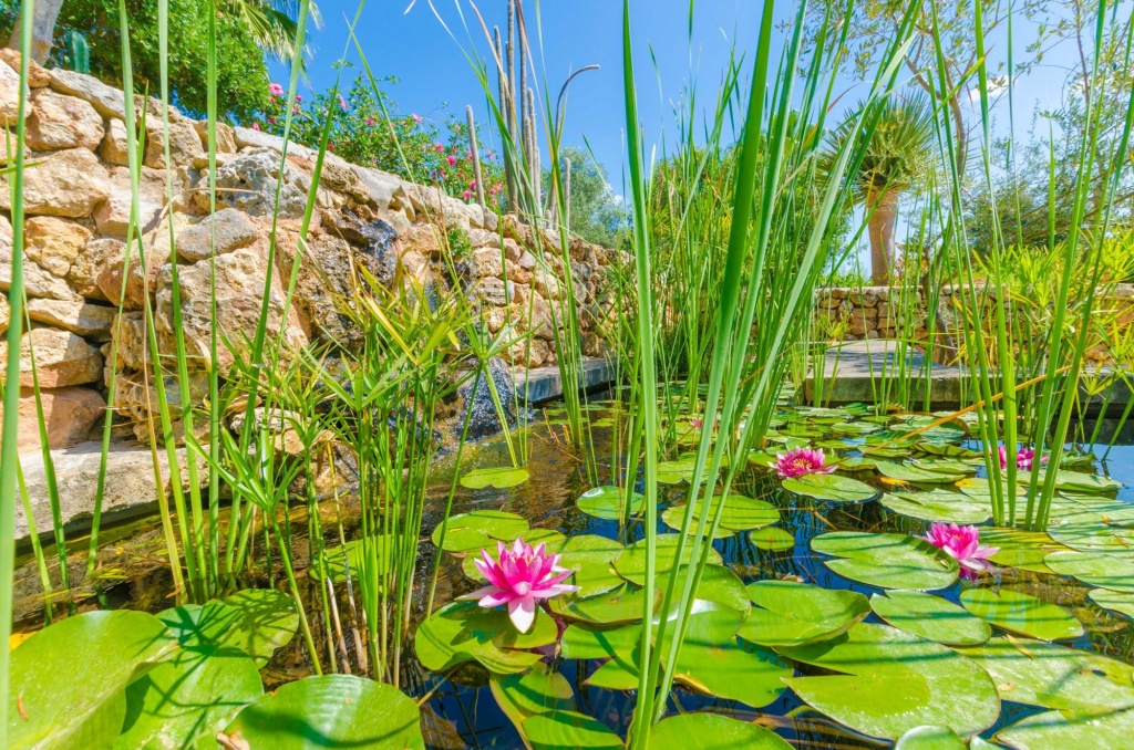 SA MATA GROSSA - Wonderful stone house with great BBQ area and private pool Free WiFi