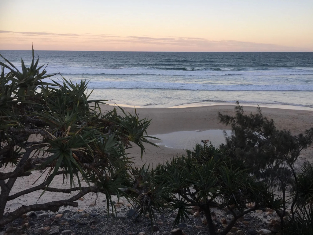 Surf Dance Apartments