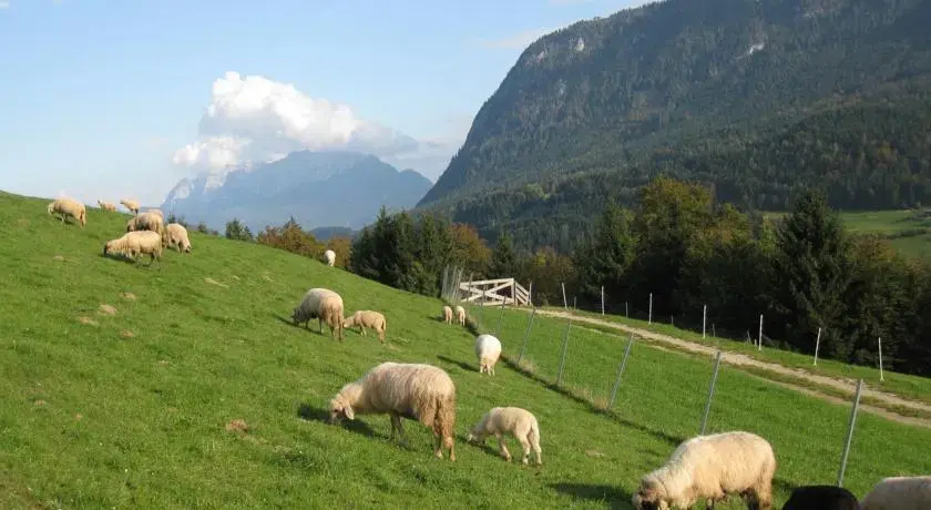 Schiestlhof
