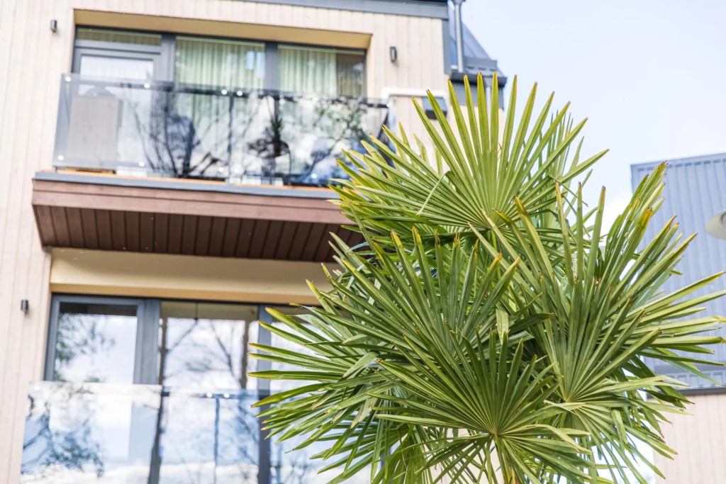 K&A Apartments Palanga