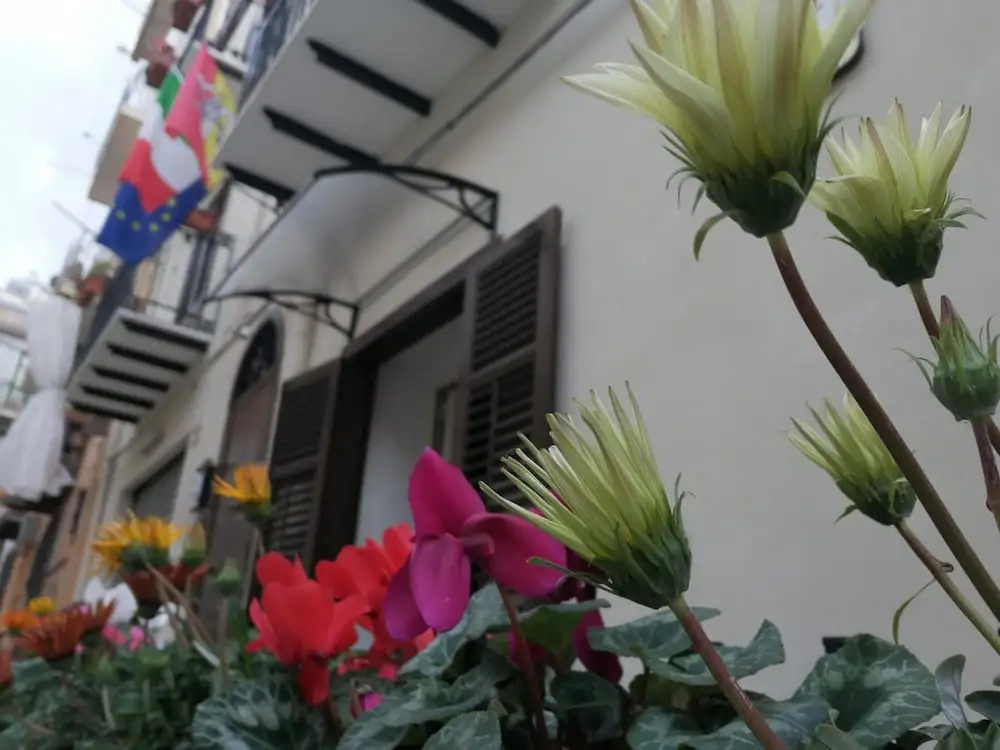 Opera Boutique Rooms