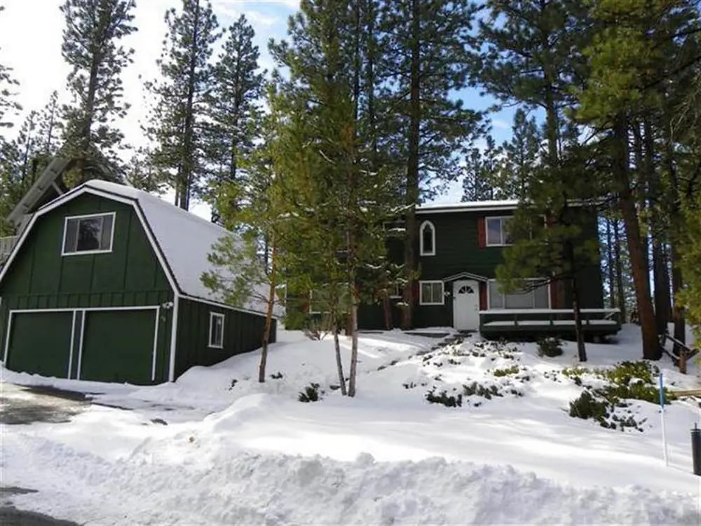 Forest Walk by Big Bear Cool Cabins