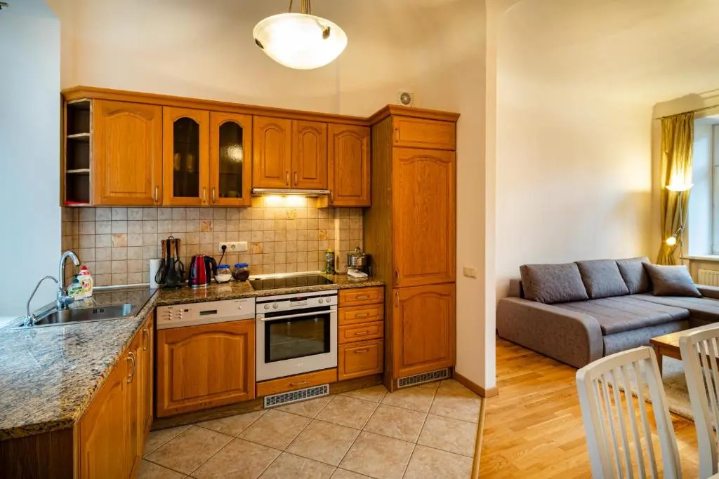 Dzirnavu Street Apartment In City Center