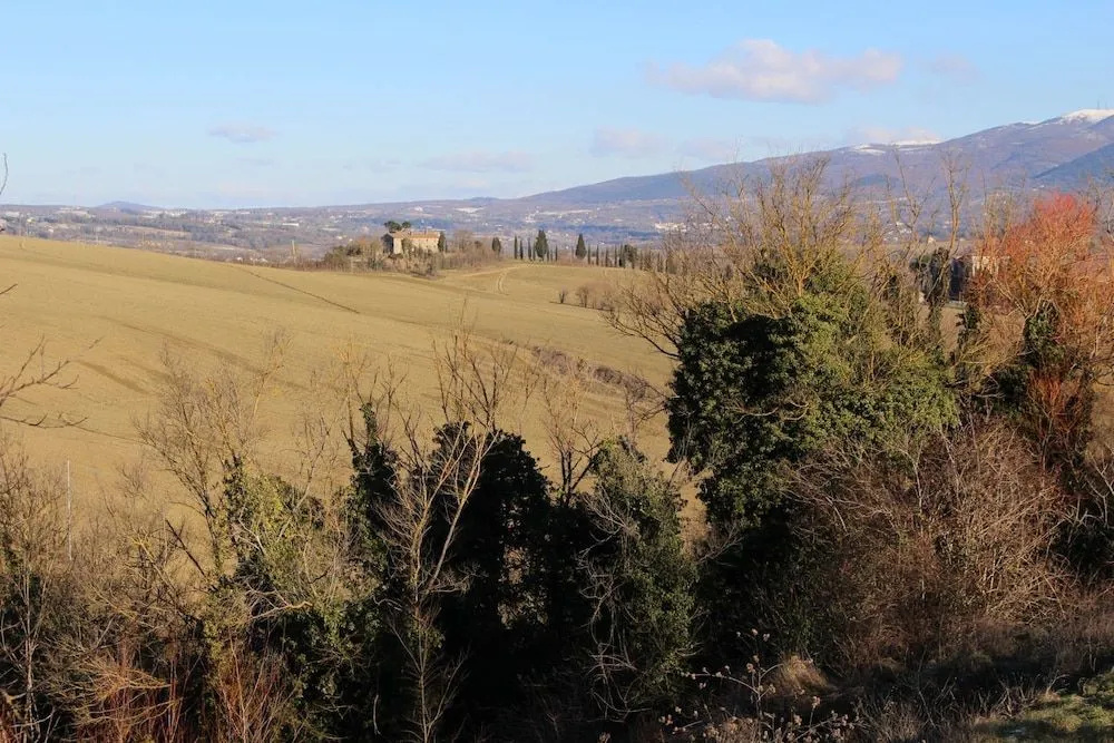 Il Poggio Del Tartufo