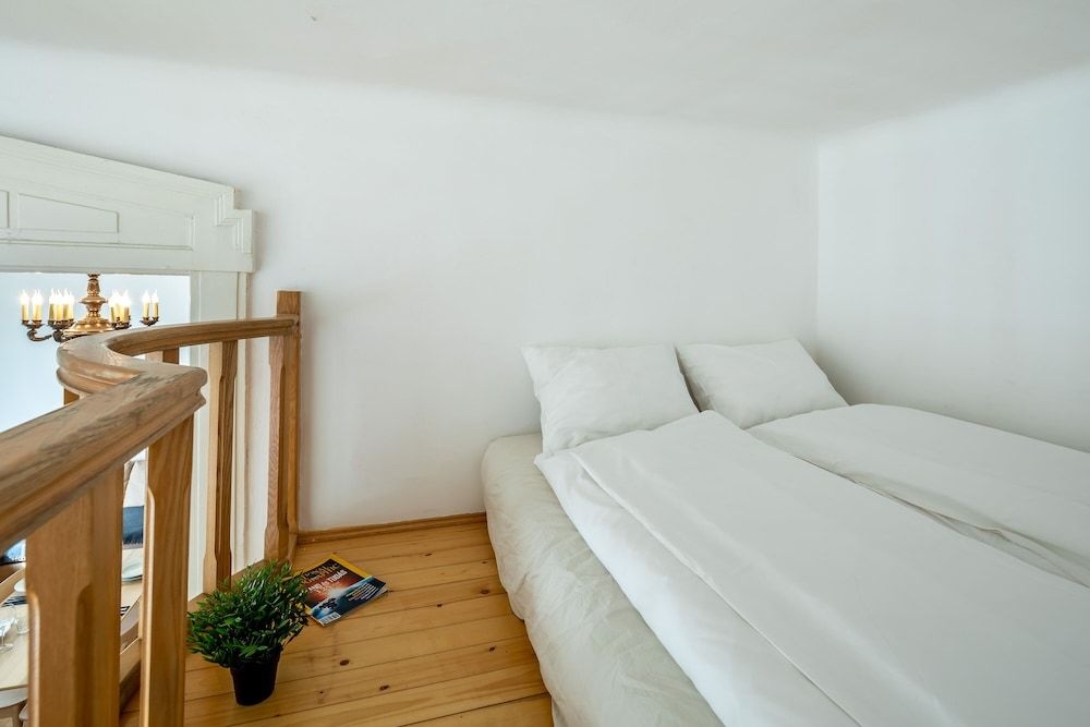 Huge Apartment in the city center