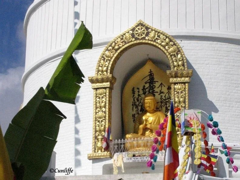 Peace Dragon Lodge