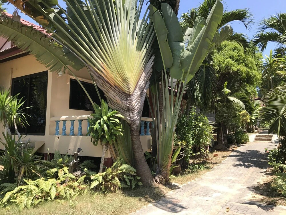 Suksom Resort