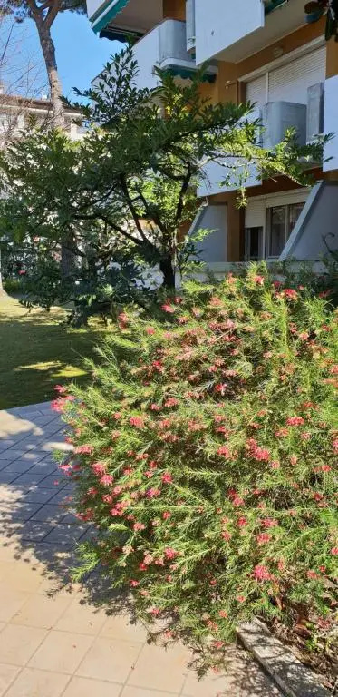 Versilia Apartment
