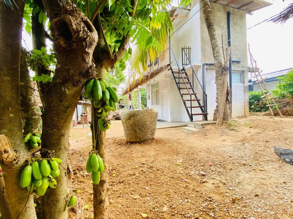 Hiriketiya Orchid Villa