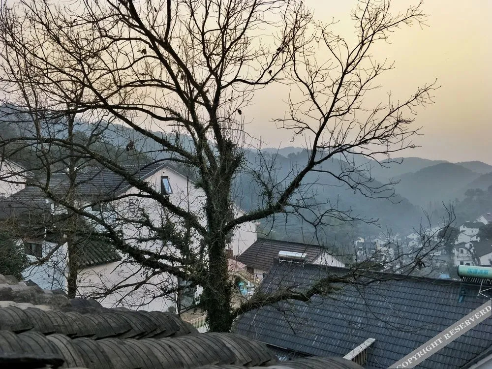 West Lake Reclusive Life Villa Yangmeiling Branch