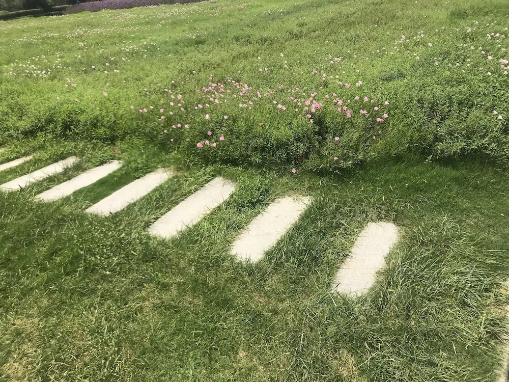 Grand Mercure Zhengzhou West