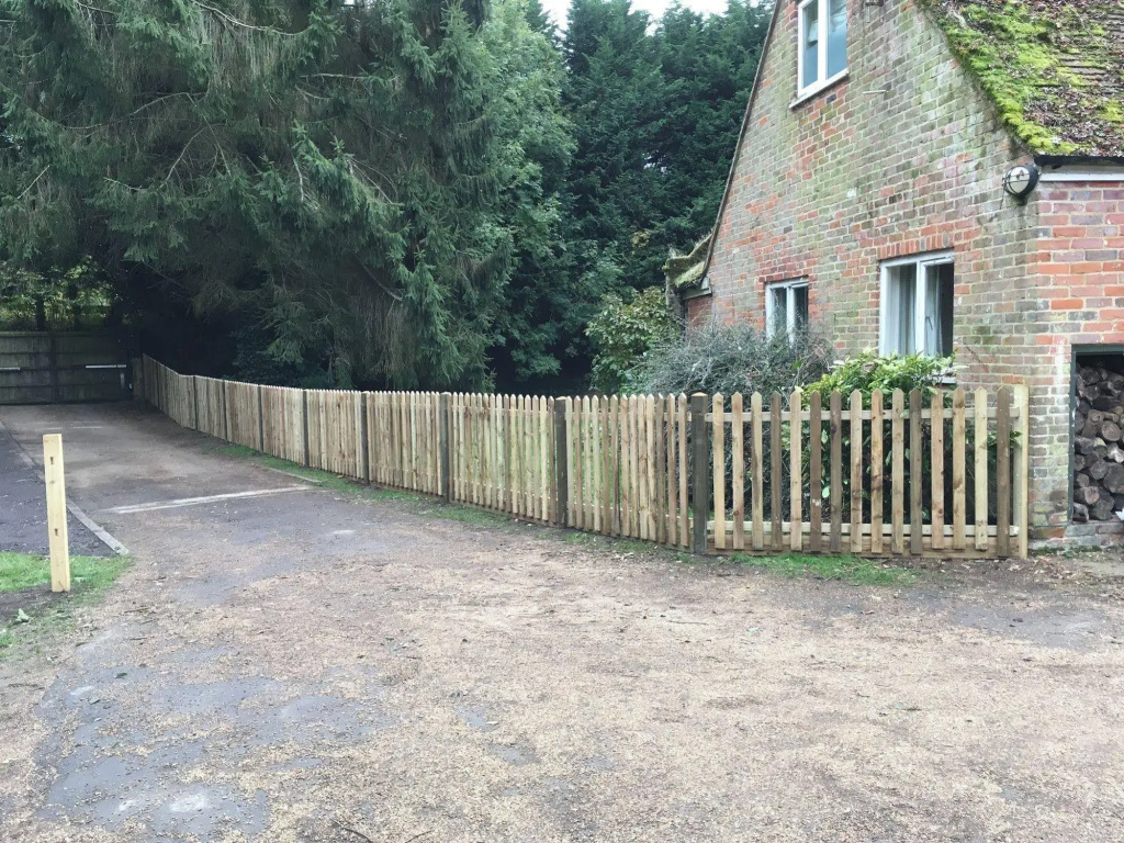 Willow Down