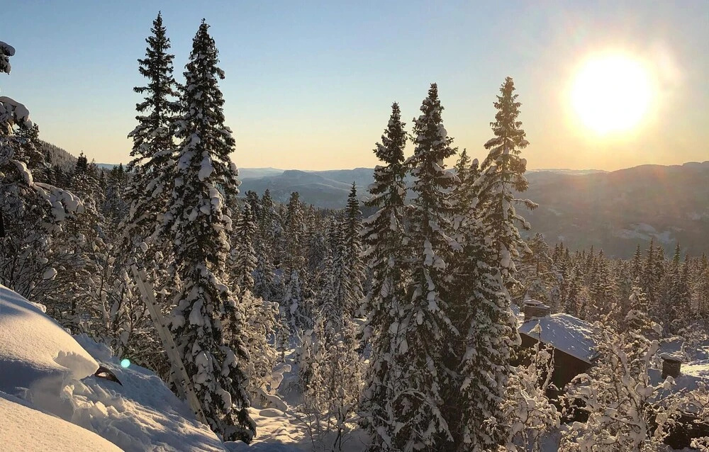 4 Bedroom Pet Friendly Home In Eggedal