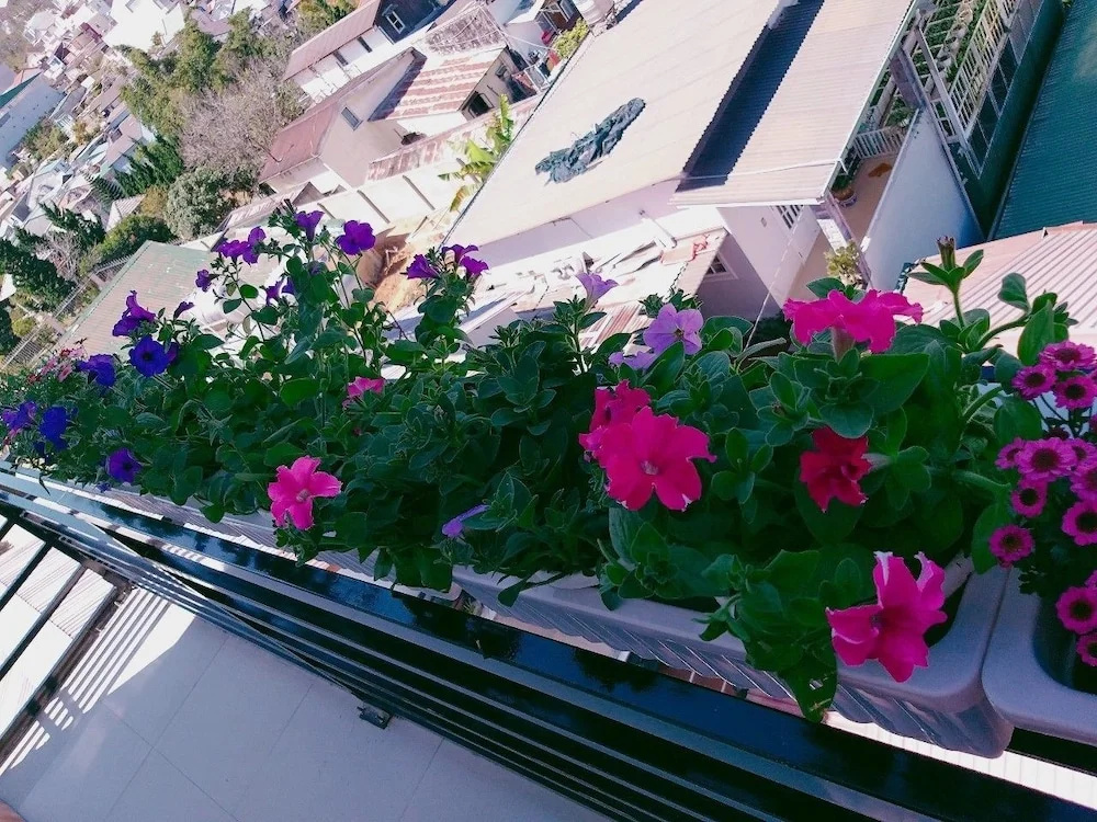 Ha Khoa Hotel Dalat