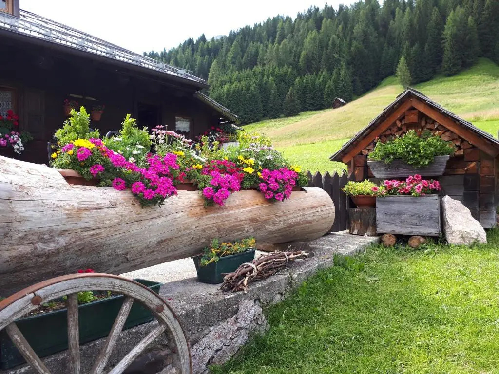 B&B Schlossar Haus