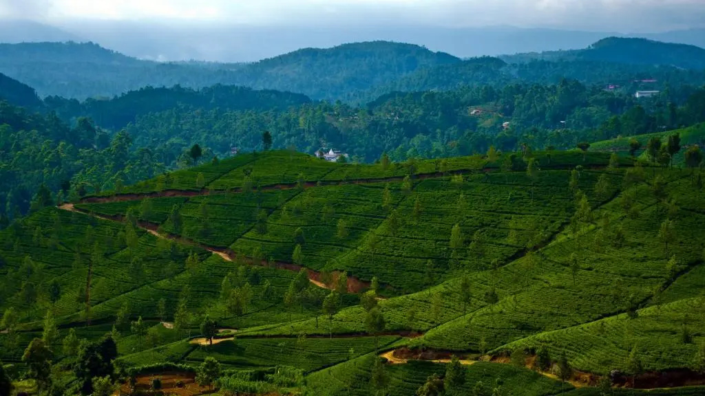 Lakshan View Resort