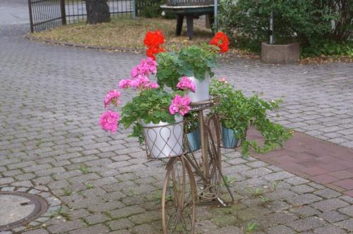 Scharmerhof