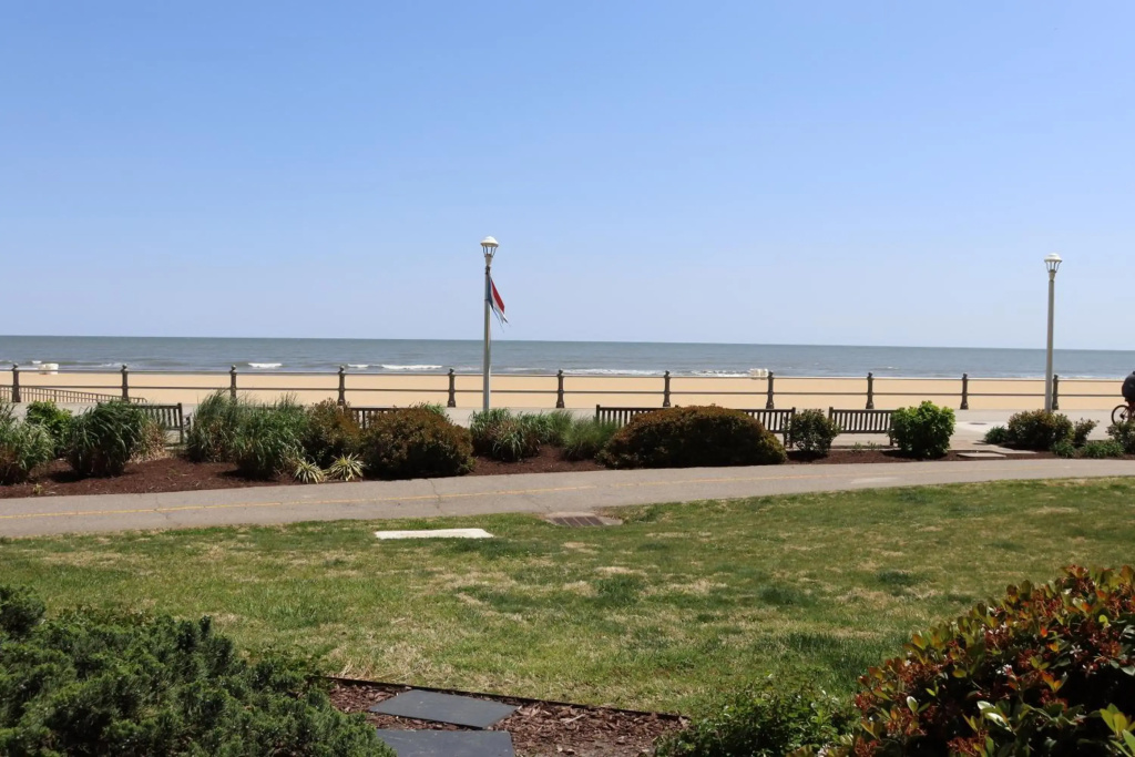 Oceanfront beach, sky, & dolphins