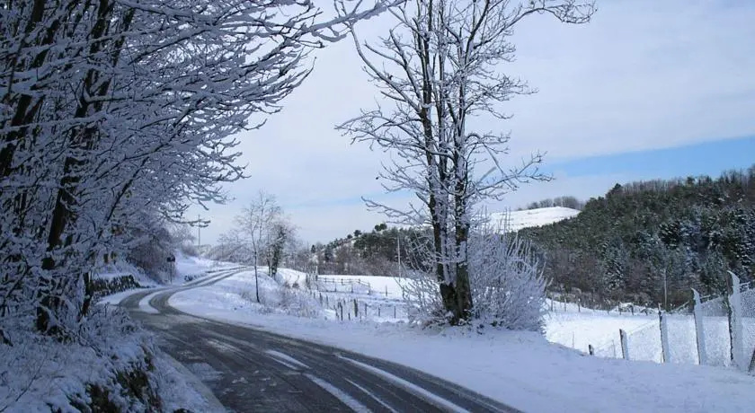 Internaturam