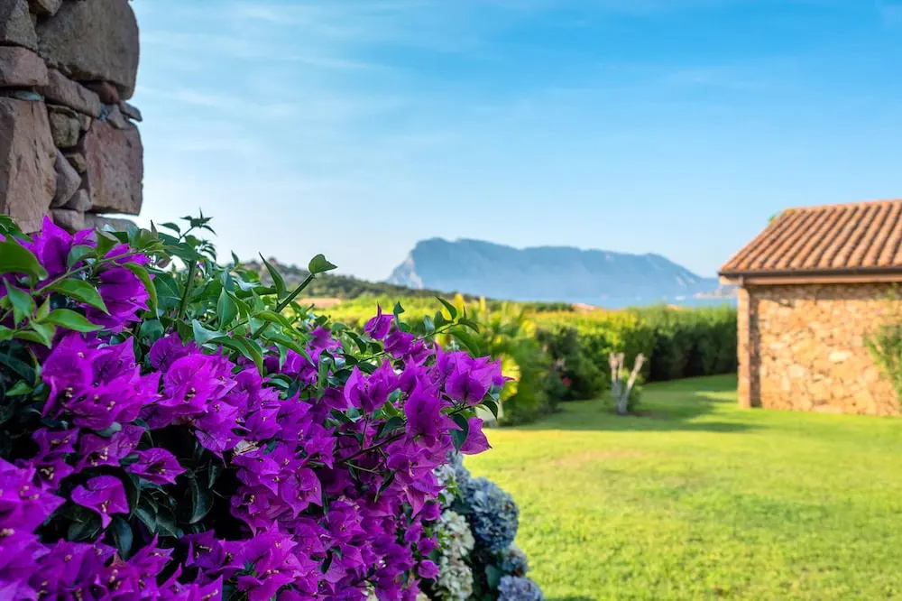 Apartment with 3 Bedrooms in San Teodoro, with Wonderful Sea View And Furnished Garden - 200 M From the Beach