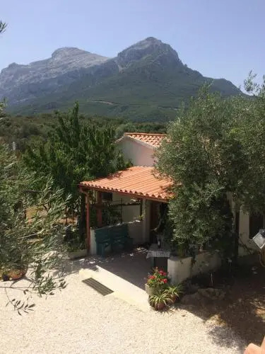 Villa L'Oliveto