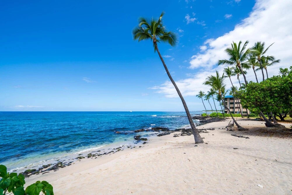 Big Island Kona Reef C-32 by Coldwell Banker Island Vacations