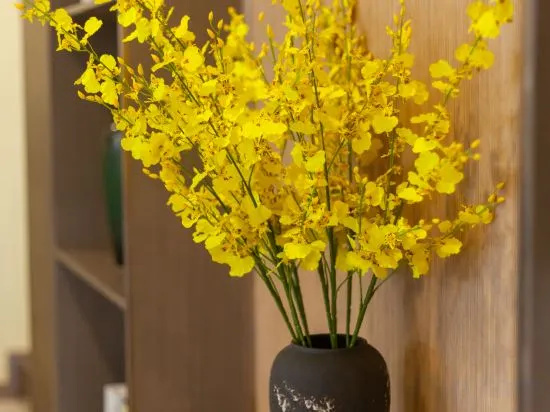 The Orchid Hotel
