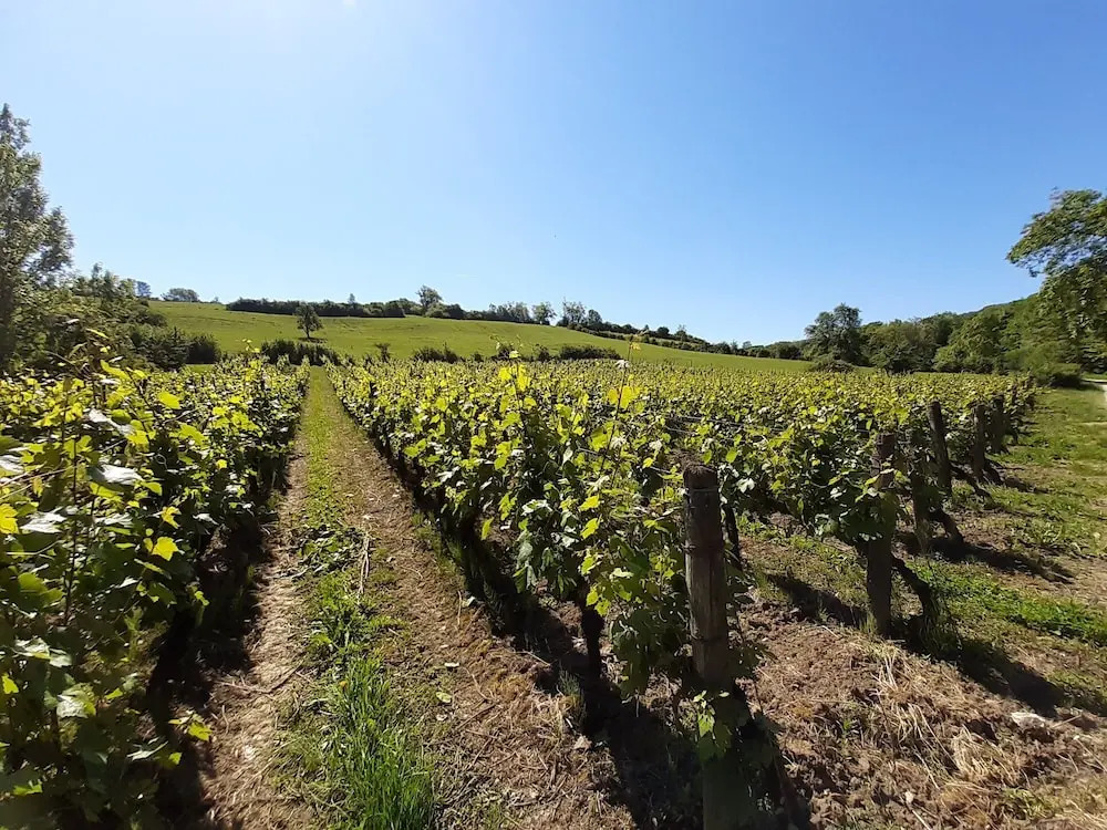 Chambres d\hôtes Une autre maison