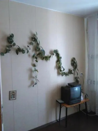 Guest house V pomosh' turistam