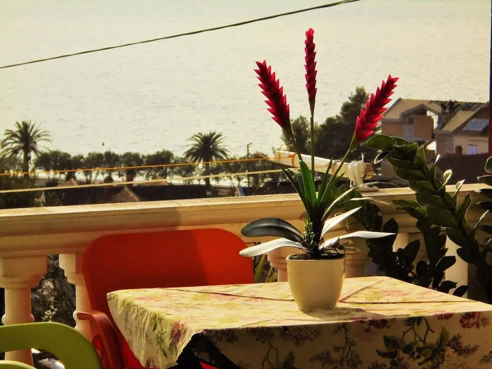 Sea star Apartment