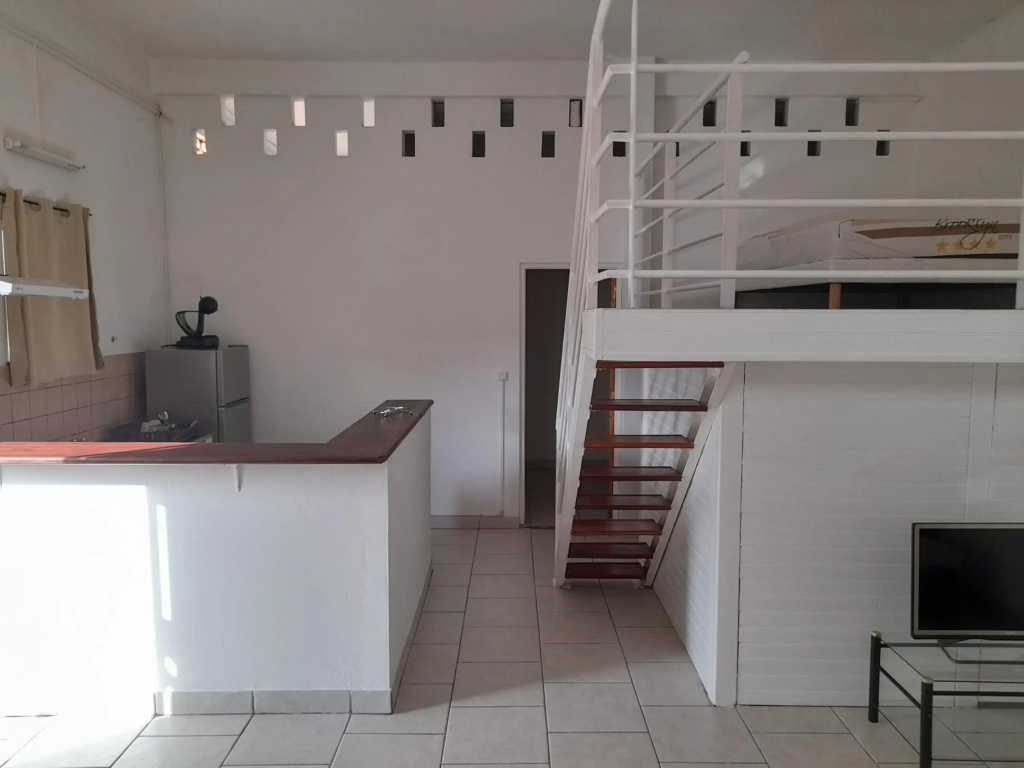 Appartement Mezzanine
