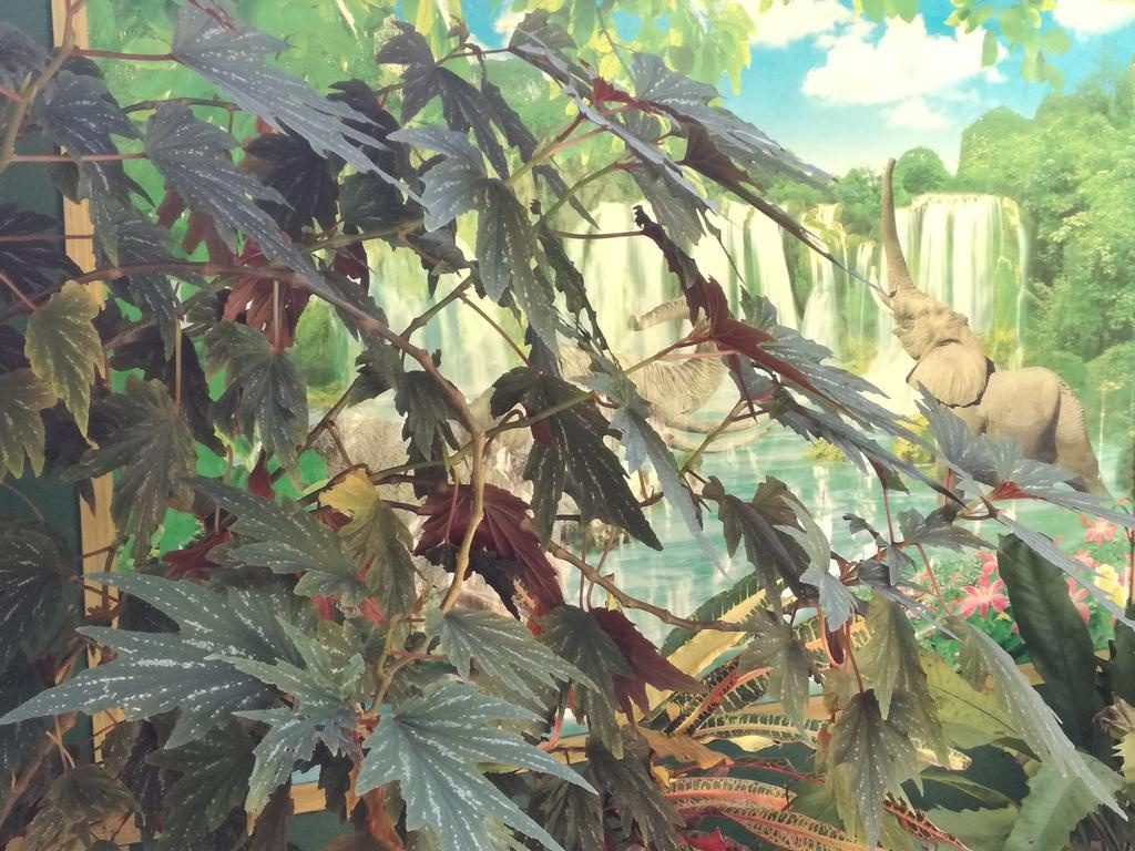 Paradise Guest House