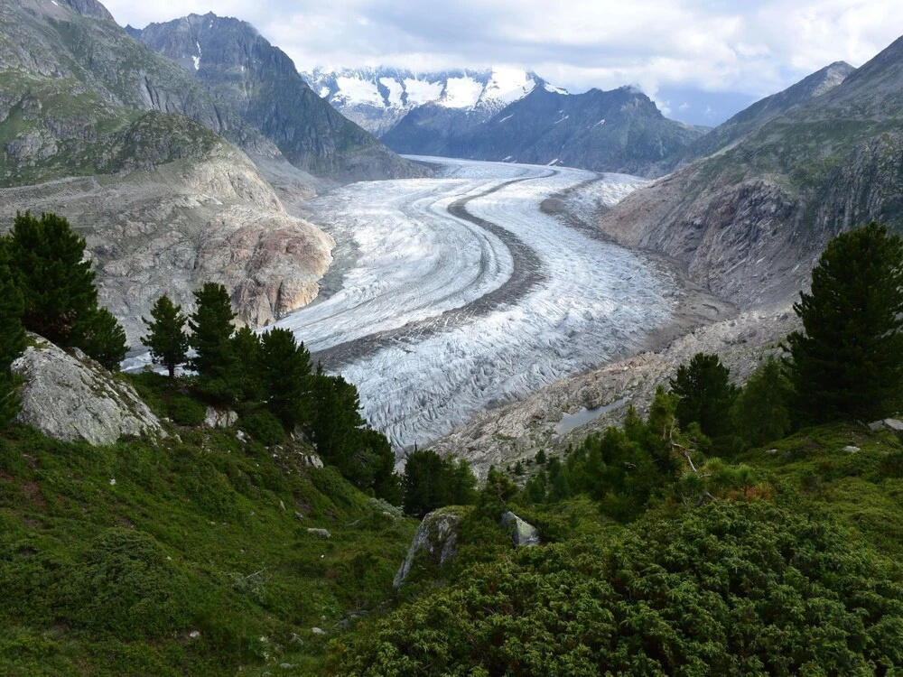S Dlenz 41 Riederalp