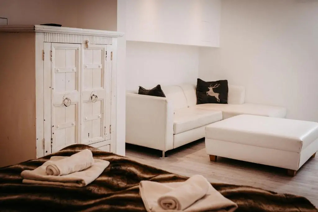 Chalet Austria, famous ski areas around us, 15 min to salzburg city, direct mountain view, up to 10 people