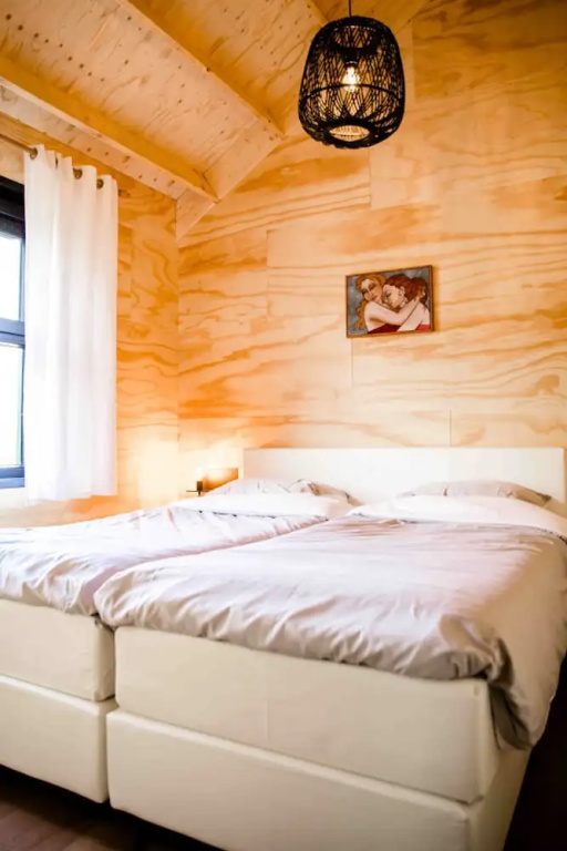 Swarm - 3 Waterlodges Naast Elkaar in Friesland