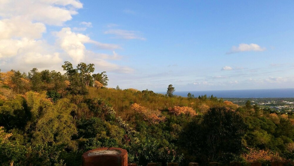 Studio in L'étang Sale, With Wonderful sea View, Enclosed Garden and W