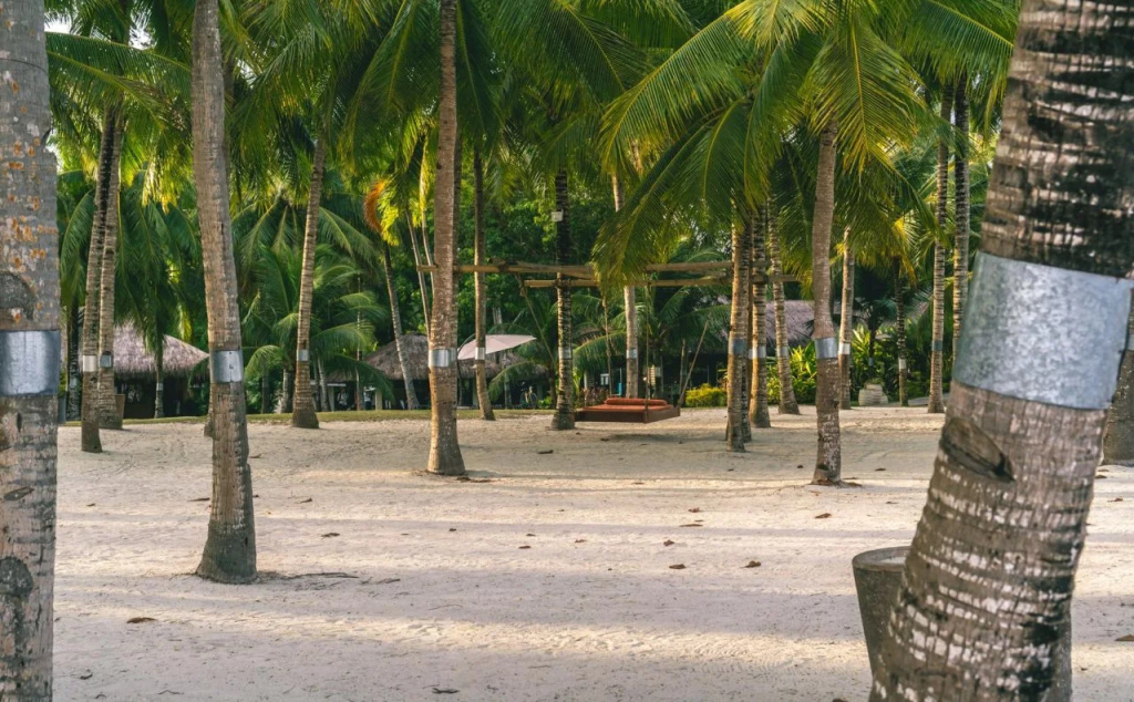 Oceanica Resort Panglao, Bohol
