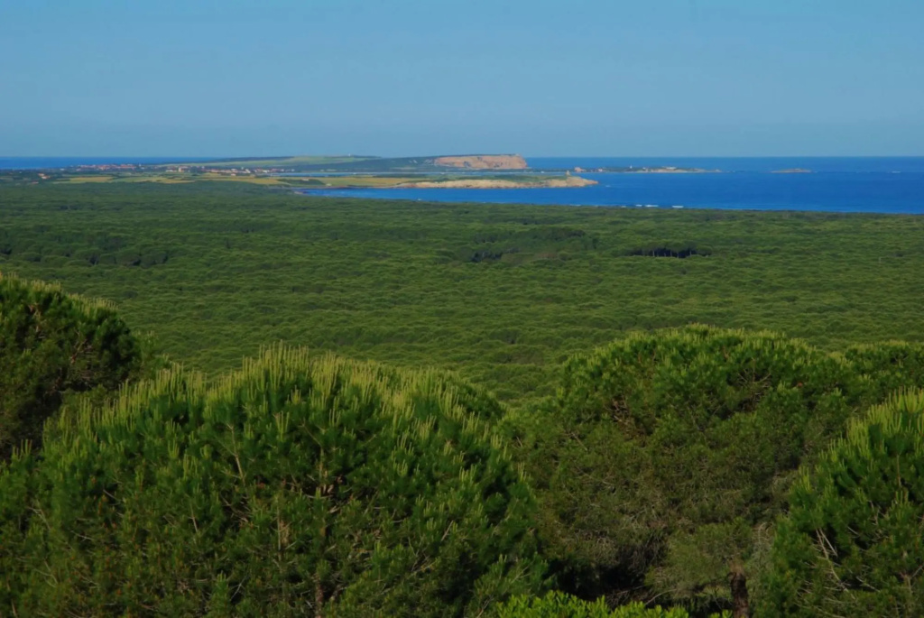Holiday home with sea view on the beach of Is Arenas and Torre del Pozzo 300 meters from the sea sho-Casa Zinzella