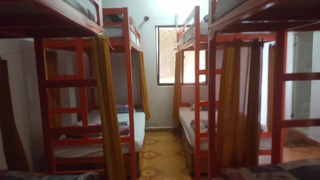Tiny Tigers Hostel
