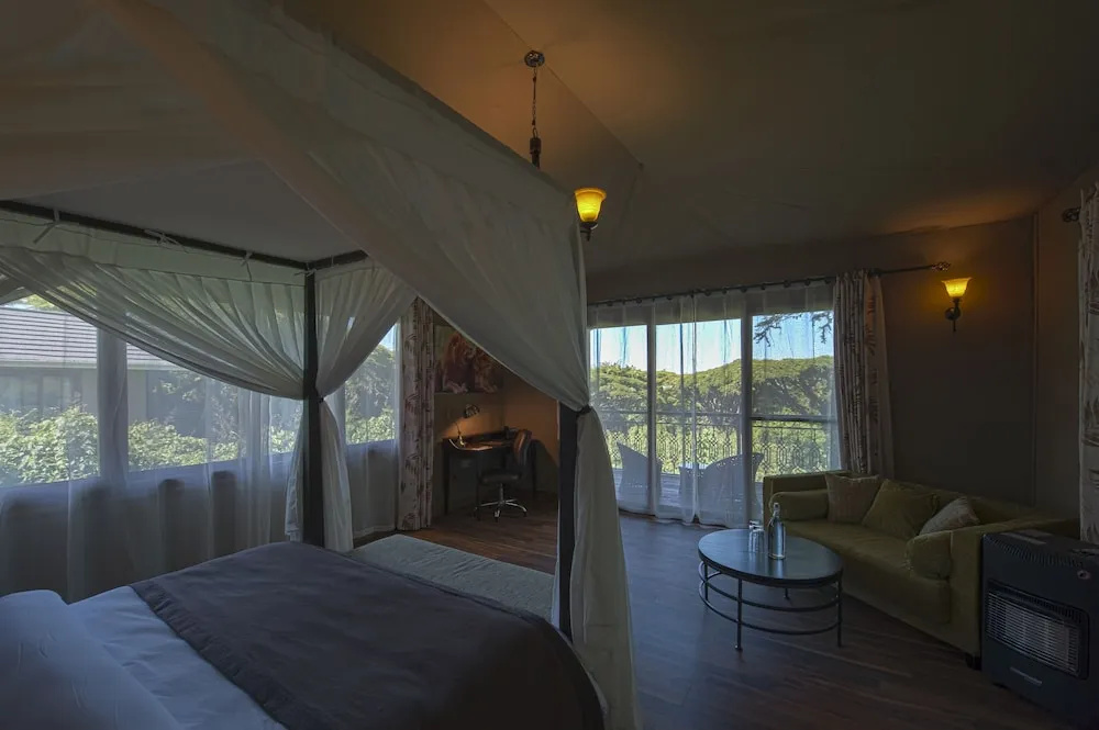 Ngorongoro Lion's Paw