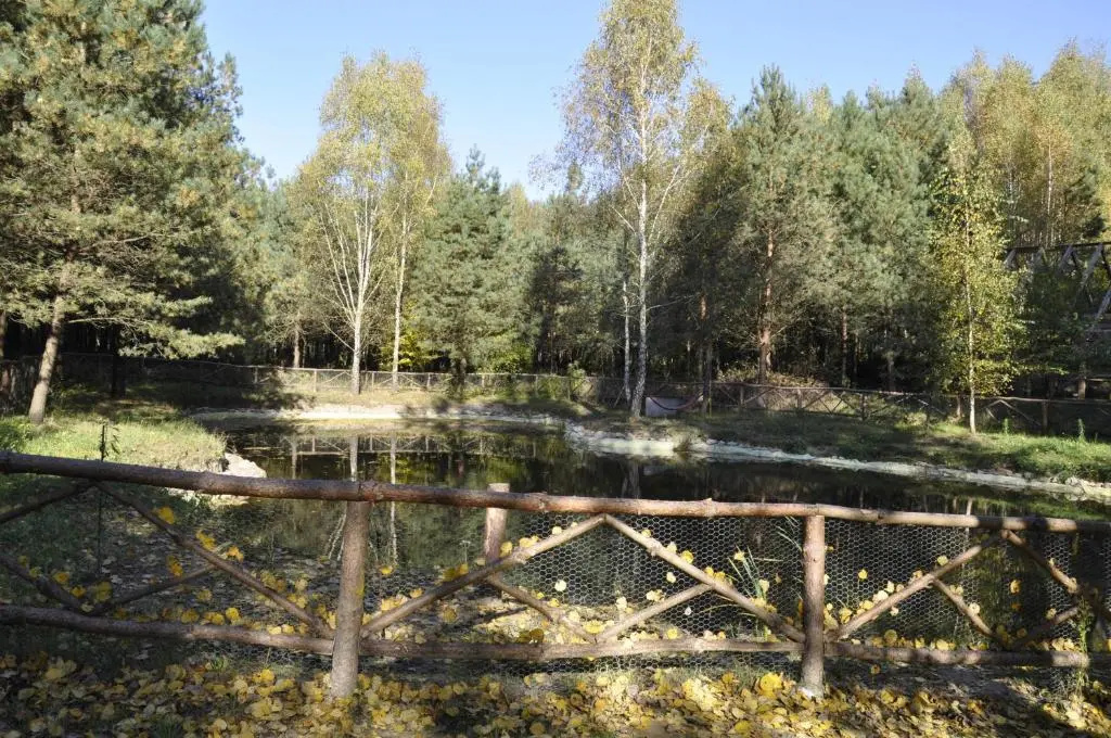 Leśna Polana