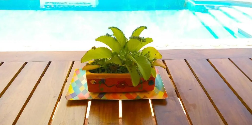 Casas Luna y Sol - Casa Sol