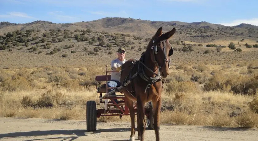 N2 Mules Ranch