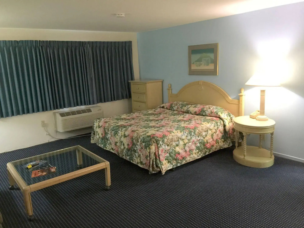 Willow Tree Lodge
